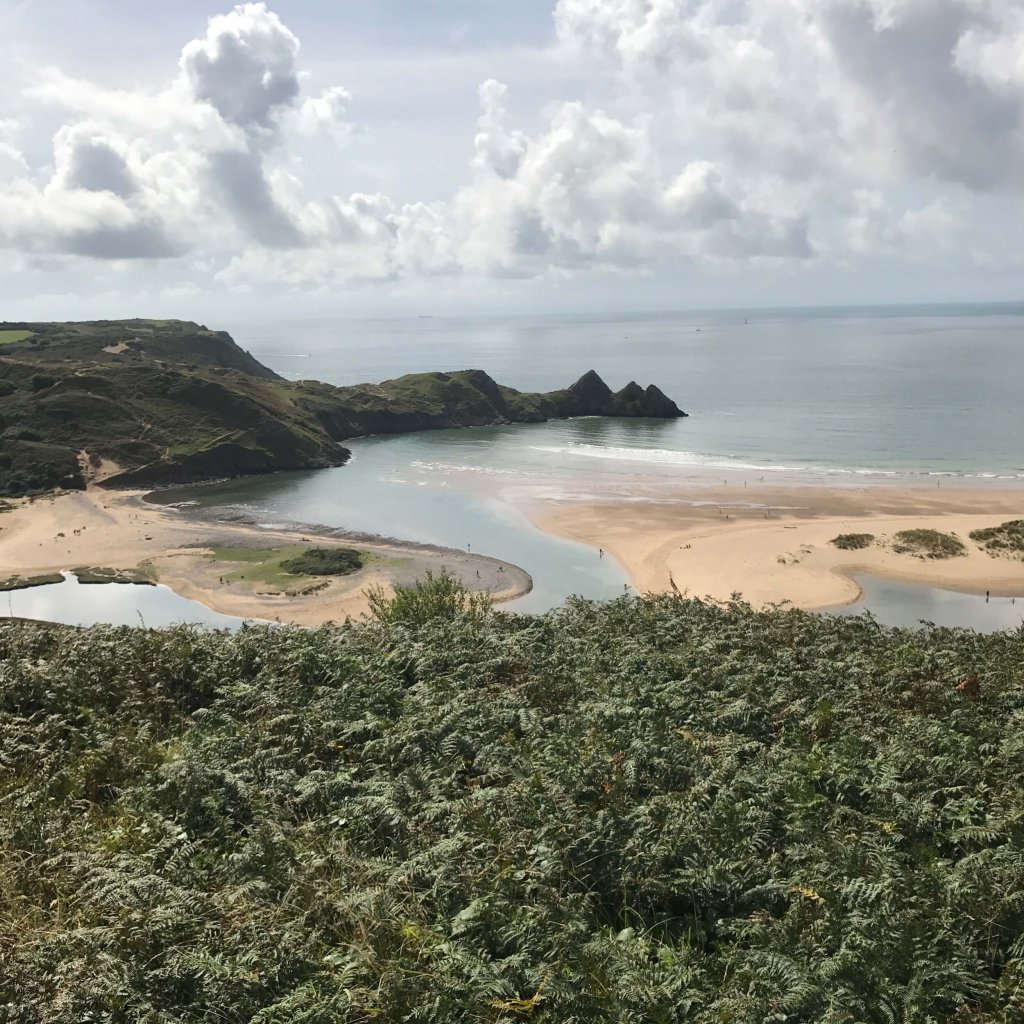 A sandy beach with blue water can be seen from the top of a leafy viewpoint. The cliffs in the background lead out into the water.