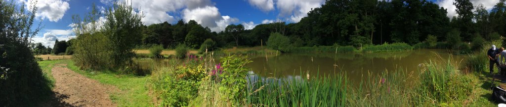 A panoramic view of a lake in summer.